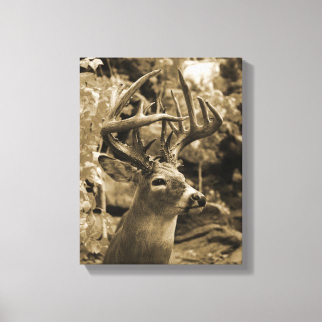 Trophy Deer Leinwanddruck (Vorderseite)
