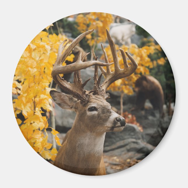 Trophy Deer Magnet (Vorne)