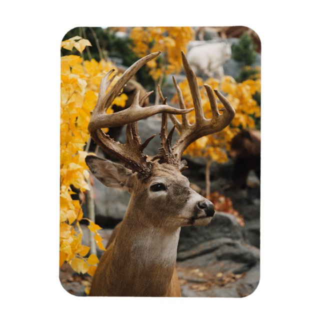 Trophy Deer Magnet (Vertikal)