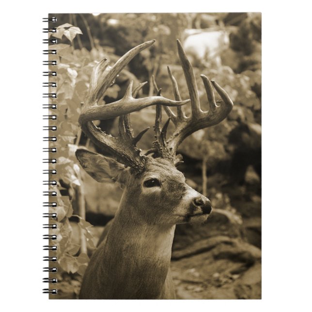 Trophy Deer Notizblock (Vorderseite)