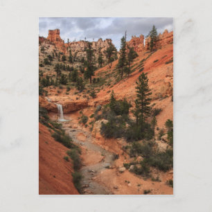 Tropic Ditch Postkarte