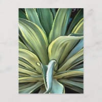 Tropical Agave Art