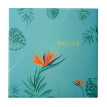 Tropical Aquamarin Blue Green Palm Monogram Belize