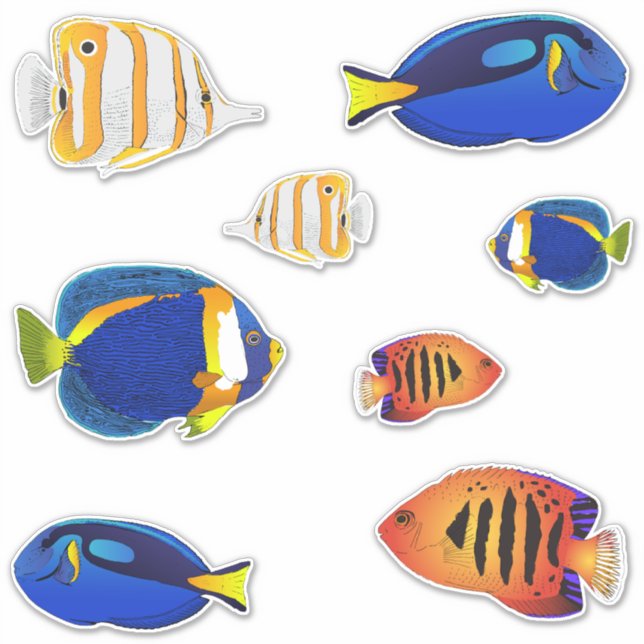 Tropical Aquarium Reef Fish Illustrations Aufkleber (Vorderseite)