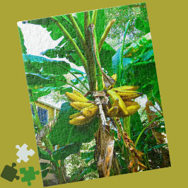 Tropical Banana Palm Tree St Augustine Florida Puzzle