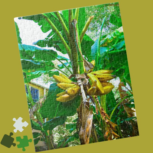 Tropical Banana Palm Tree St Augustine Florida Puzzle (Von Creator hochgeladen)
