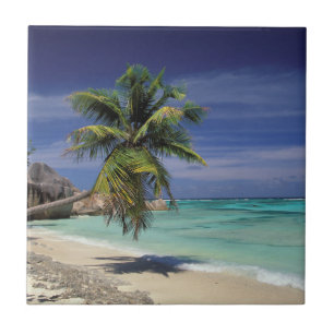 Tropical Beach, Anse Sourcing D'Argent, La Digue Fliese