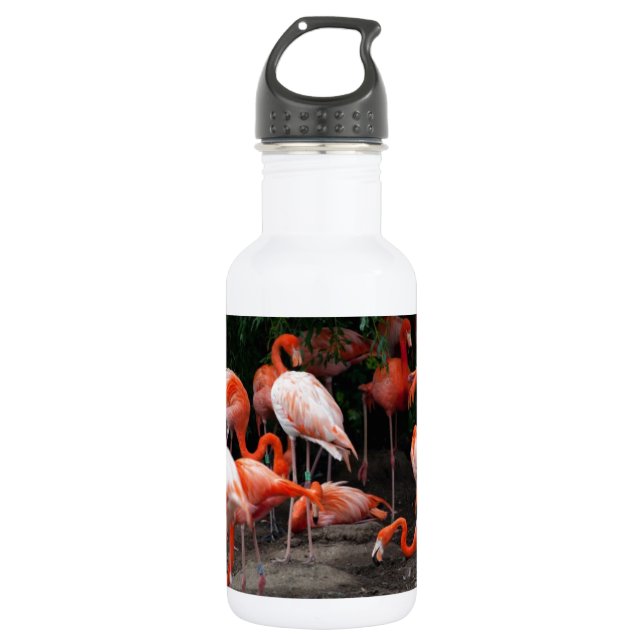 Tropical Beach Birds Destination Flamingos Trinkflasche (Vorderseite)