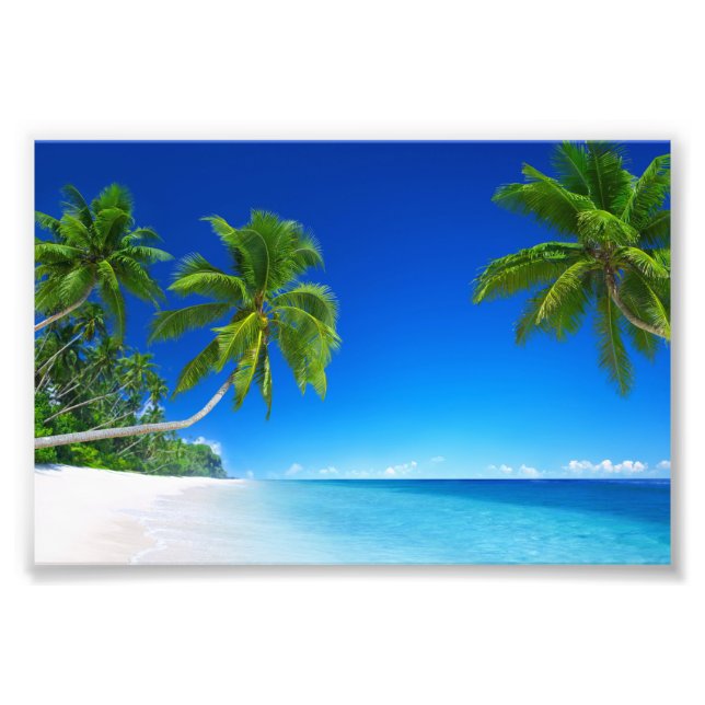 Tropical Beach Foto Print (Vorne)