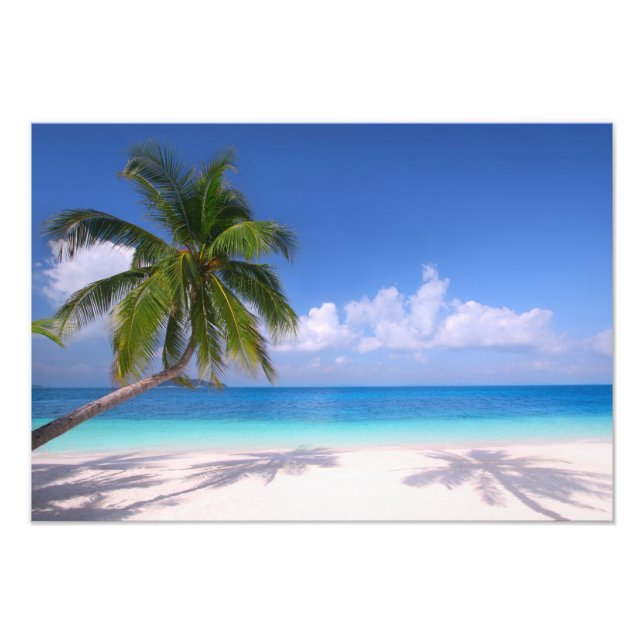 Tropical Beach Foto Print (Vorne)