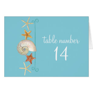 Tropical Beach Muscheln Starfish Nautilus Summer