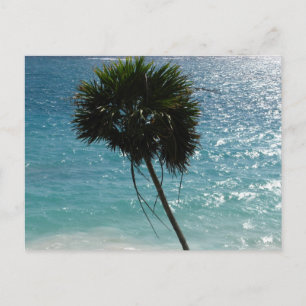 Tropical Beach Palm Tree Postcard Postkarte