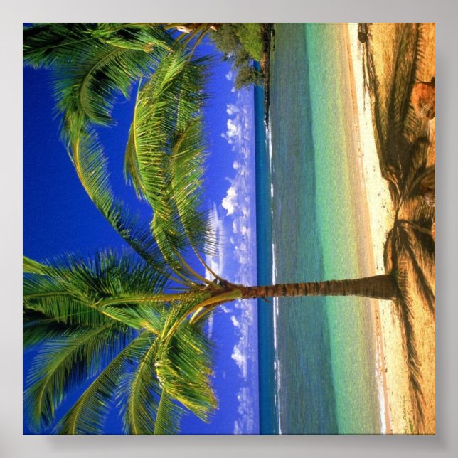 Tropical Beach Paradise Poster (Vorne)