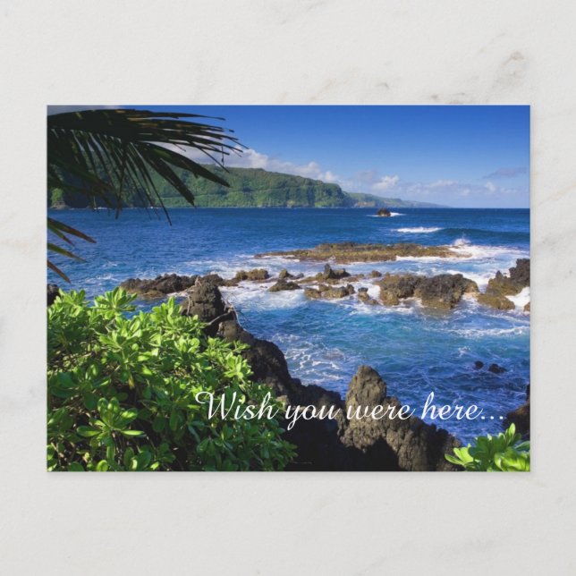 Tropical Beach Postcard Postkarte (Vorderseite)