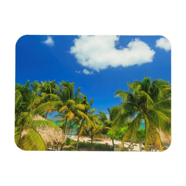 Tropical beach resort, Belize Magnet (Horizontal)