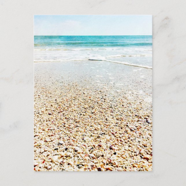 Tropical Beach Sand Ocean Waves Muscheln Florida Postkarte (Vorderseite)