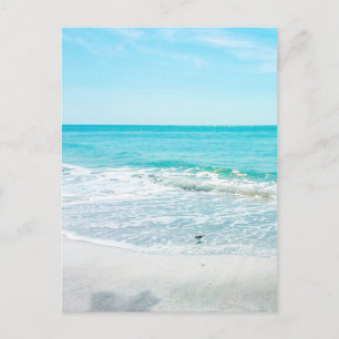 Tropical Beach Sand Ocean Waves Muscheln Golf Postkarte