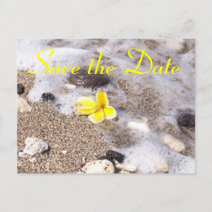 Tropical Beach Save the Date Plumeria Ankündigungspostkarte