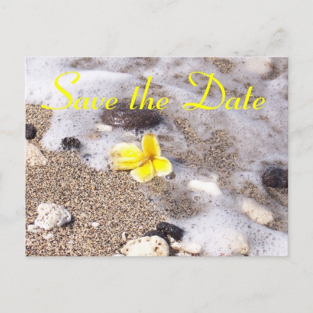 Tropical Beach Save the Date Plumeria Ankündigungspostkarte (Vorderseite)