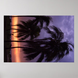 Tropical Beach Sunset Poster