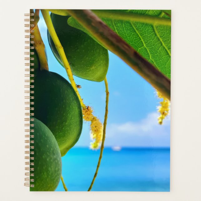 Tropical Beach Vibes Planner | karibisch Inspirier Planer (Vorderseite)