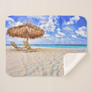 Tropical Beaches Aruba Sandy Beach Sherpadecke