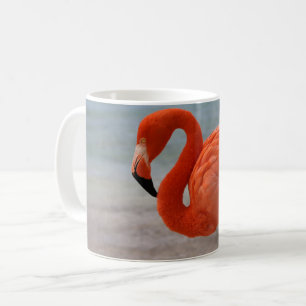 Tropical Beaches Caribbean Flamingo, Aruba Kaffeetasse