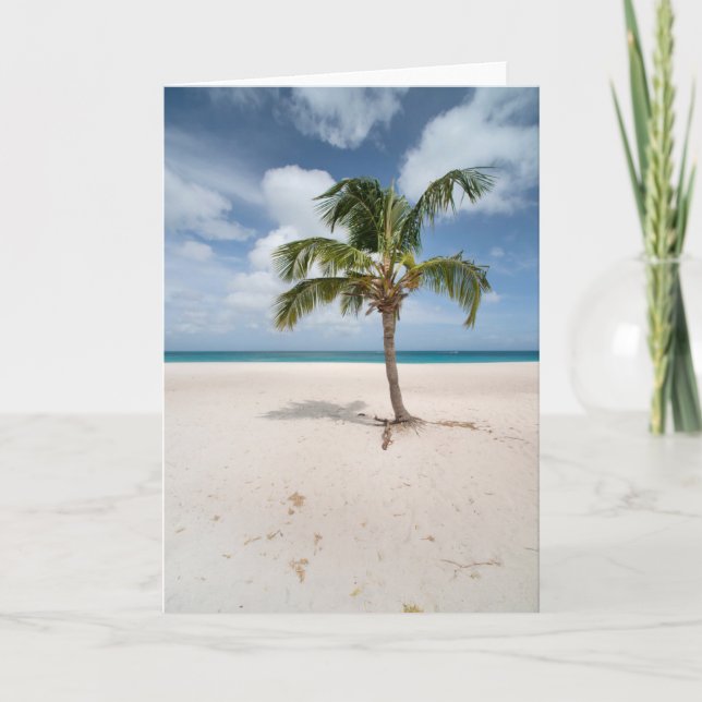 Tropical Beaches | Eagle Beach, Aruba Karte (Vorderseite)