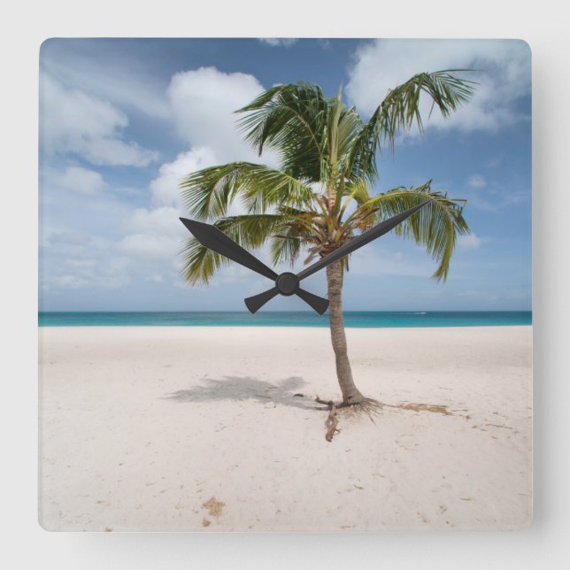 Tropical Beaches | Eagle Beach, Aruba Quadratische Wanduhr (Vorderseite)