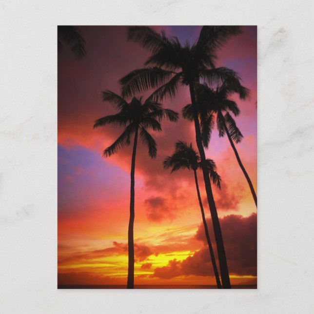 Tropical Beaches | Maui Hawaii Islands Postkarte (Vorderseite)