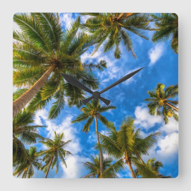 Tropical Beaches | Palm Trees on Blue Sky Quadratische Wanduhr (Vorderseite)