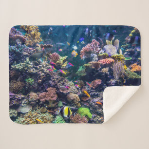 Tropical Beaches   Underwater Coral Reef Sherpadecke