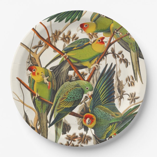 Tropical bird unique paper plates pappteller (Vorderseite)