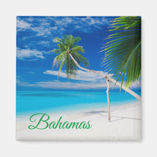 Tropical Blue Exotic Bahamas Beach Palms Magnet