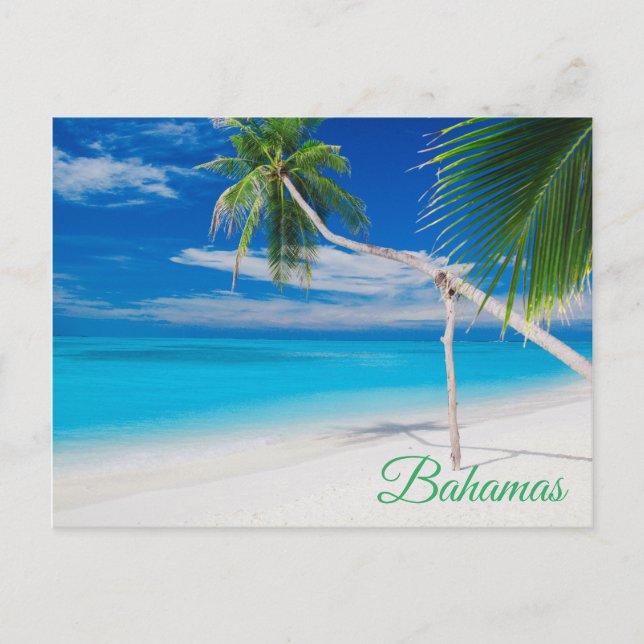 Tropical Blue Exotic Bahamas Beach Palms Postkarte (Vorderseite)