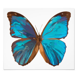 Tropical Blue und Turquoise Gem Butterfly Fotodruck