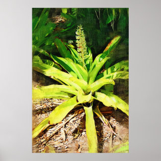 Tropical Bromeliad - Spaziergang im Garten Poster