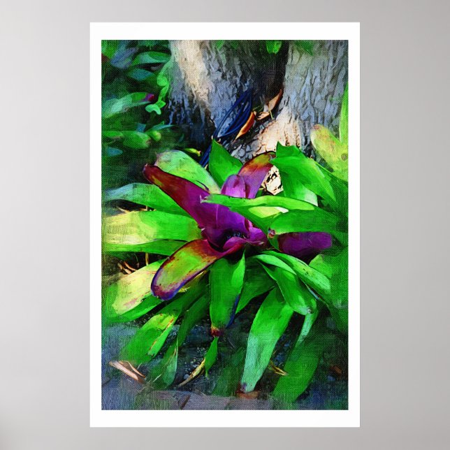 Tropical Bromeliads Ölmalerei Sammlung Poster (Vorne)