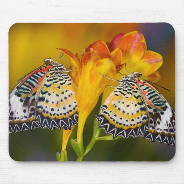 Tropical Butterfly Twins Mousepad (Vorne)