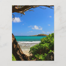 Tropical Caribbean Beach Postkarte