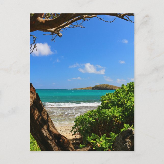 Tropical Caribbean Beach Postkarte (Vorderseite)