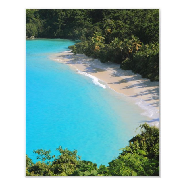 Tropical Caribbean Island Beach Fotodruck (Vorne)