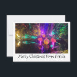 Tropical Christmas Card Mitteilungskarte<br><div class="desc">Flamingo Christmas lights for a whimsical tropical holiday card. Text can me edited. Please email me if you need help rachhphotography.com@gmail.com</div>