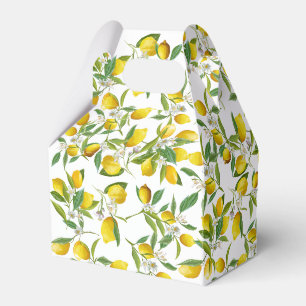 Tropical Citrus Sommer frische Orangenlemon Slice Geschenkschachtel