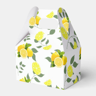 Tropical Citrus Sommer frische Orangenlemon Slice Geschenkschachtel