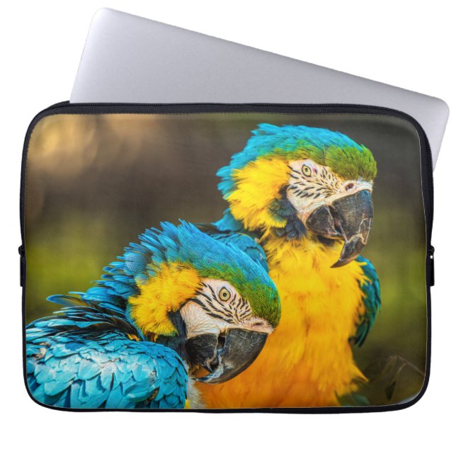 Tropical Companions Wildlife Photo Wall Art Print Laptopschutzhülle (Vorderseite)