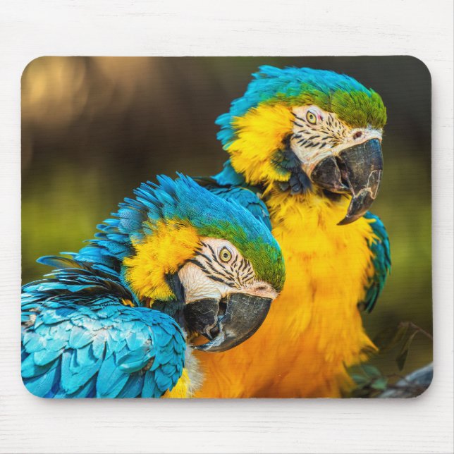 Tropical Companions Wildlife Photo Wall Art Print Mousepad (Vorne)