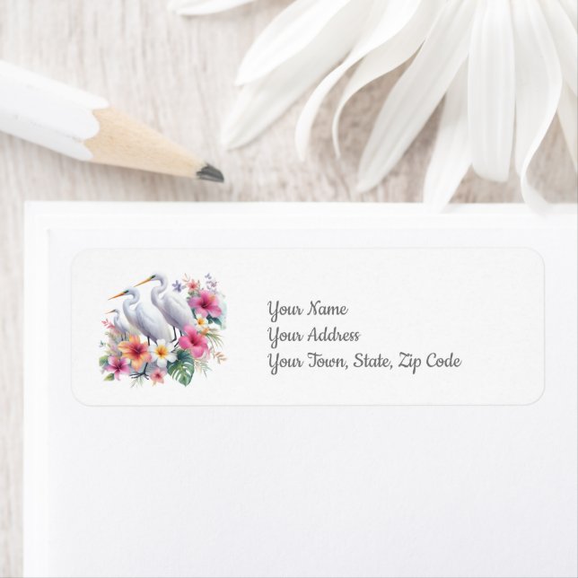 Tropical Egret Bird Island Beach Coastal (Insitu)