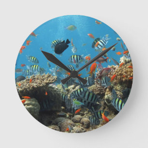 Tropical Fish Chaos Runde Wanduhr