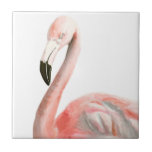 Tropical Flamingo Bird Fliese<br><div class="desc">Tropischer Flamingo-Vogel. Künstler: Naomi McCavitt. Bild-ID: 145974Z.</div>
